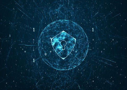 Security controls_header image